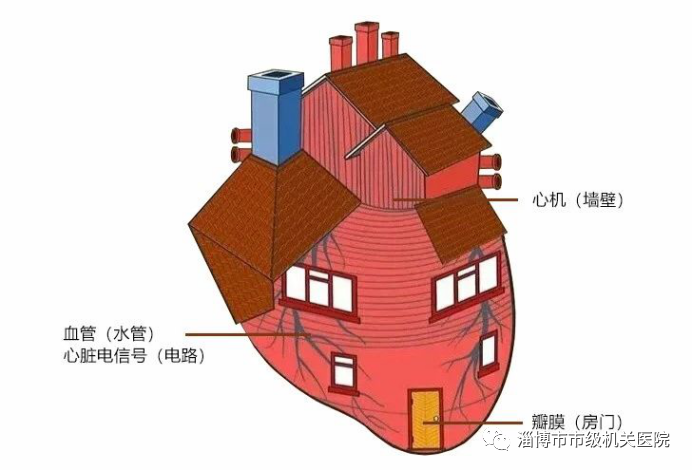 什么是心电图等电线【健康科普】心脏检查哪个更好？心电图、心脏彩超、冠脉造影有什么区别？-上海聚慕医疗器械有限公司