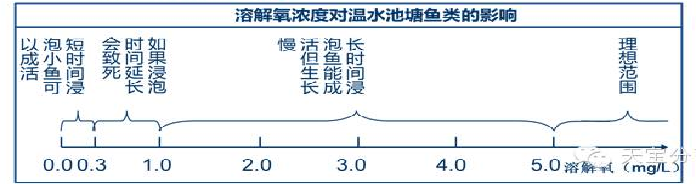 秋冬养殖如何高效“氧”鱼？从水质监测开始！