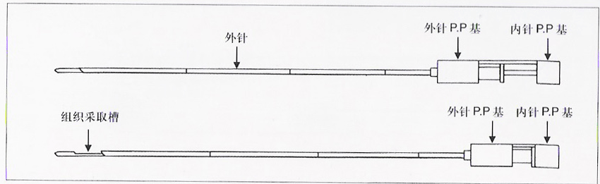 穿刺针是什么样的连载｜外科耗材兵器谱之活检针_https://www.jmylbn.com_新闻资讯_第21张