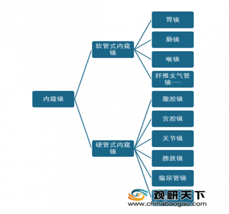 richardwolf什么品牌内窥镜行业分析_https://www.jmylbn.com_新闻资讯_第6张