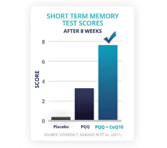 Q10+PQQ提升認知力