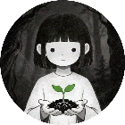木与迷