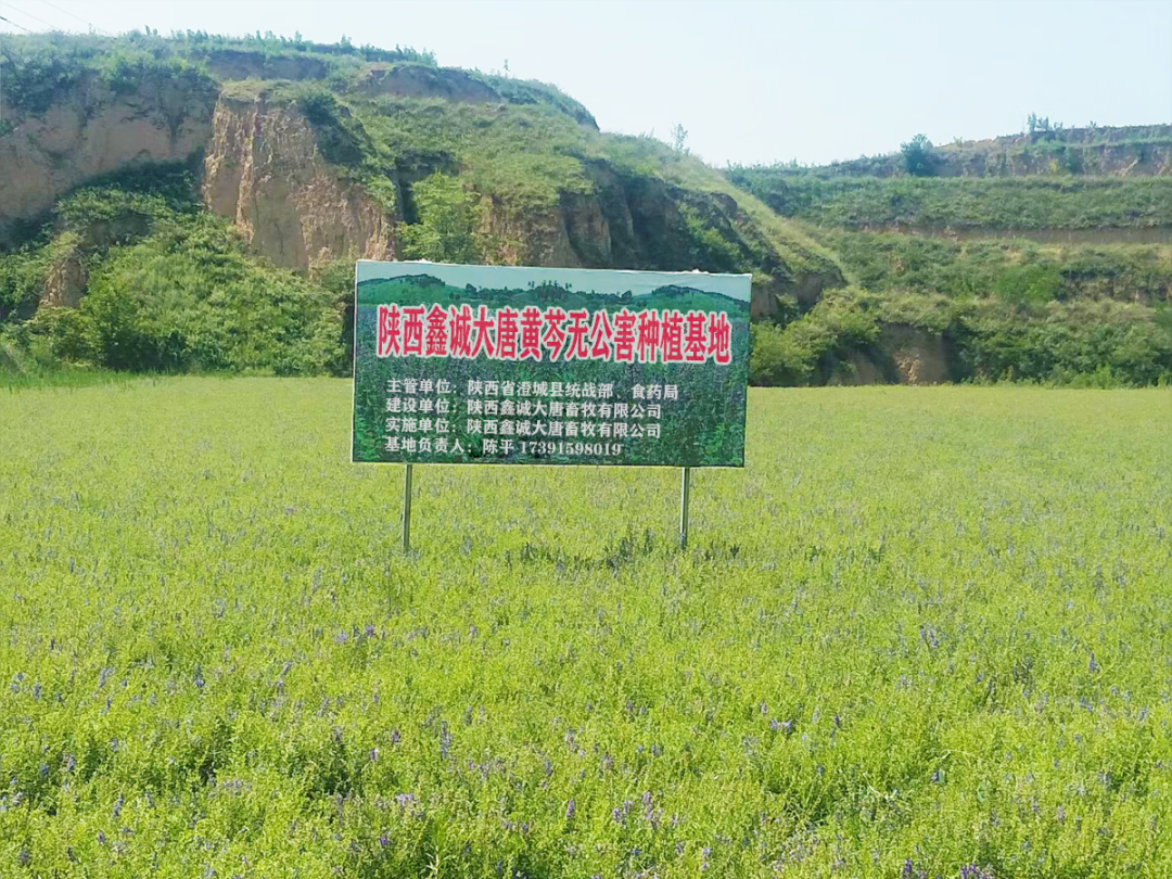 陕西农林卫视致富故事会_央视农业节目致富经_陕西农林卫视致富经