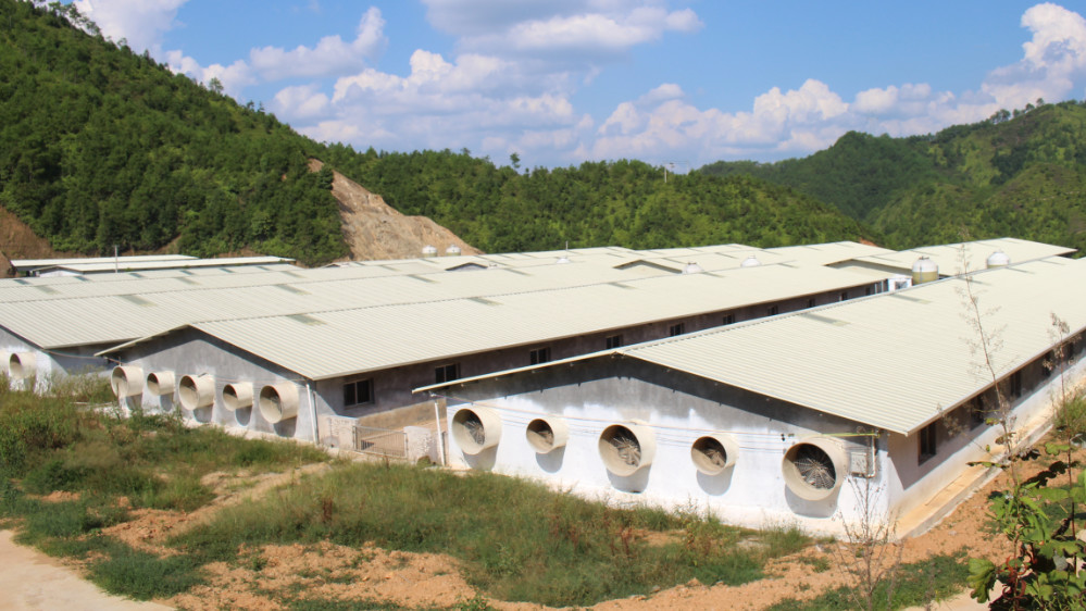 中央特批,9月起农业用地建猪圈不用审批! 中央特批,9月起农业用地建猪圈不用审批!