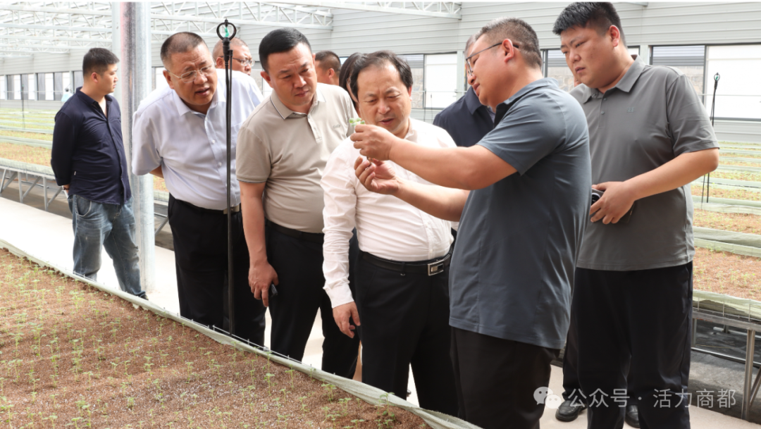 市政府副市长李建文到我县调研