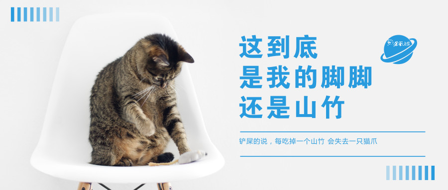 微信公众号蒙面白猫 Unseen Cat 最新文章 微信公众号文章阅读 Wemp