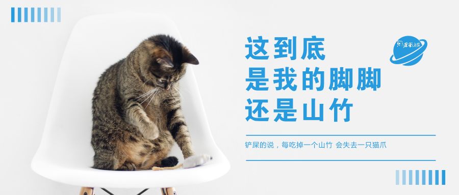 猫爪与山竹的关系 它们到底有多像 蒙面白猫 微信公众号文章阅读 Wemp