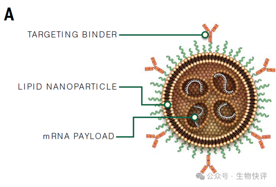 图示 AI 生成的内容可能不正确。
