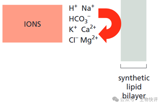 图片包含 图表 AI 生成的内容可能不正确。