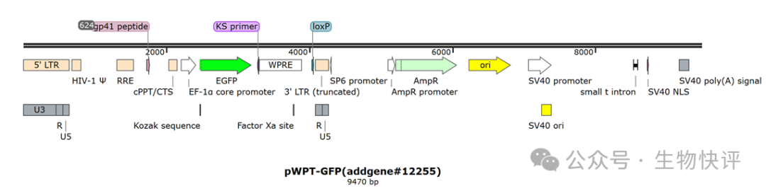 圖形用戶界面, 應用程序 AI 生成的內容可能不正確。