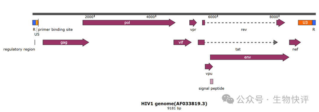 圖示 AI 生成的內容可能不正確。