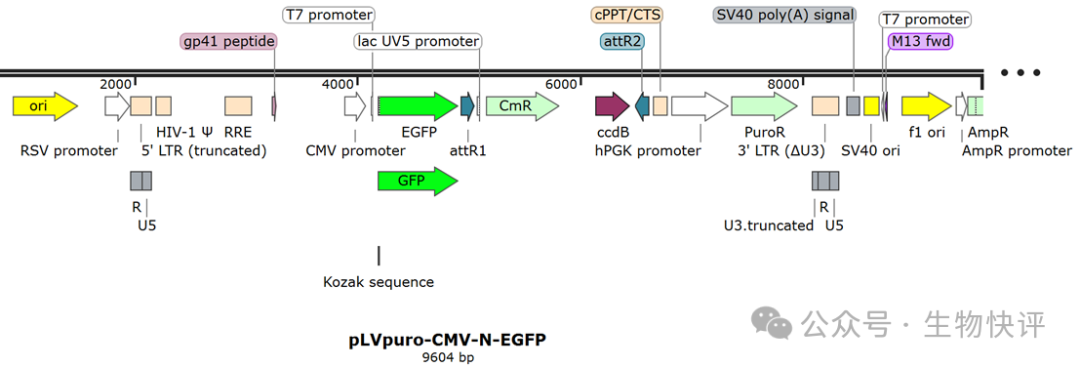 日程表 AI 生成的內容可能不正確。