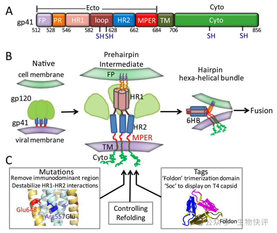 圖示 AI 生成的內容可能不正確。