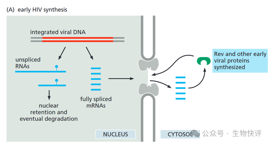 圖示 描述已自動生成