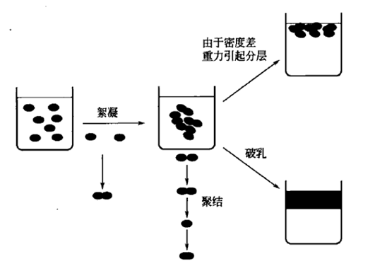 乳化体的不稳定性有几种表现形式:絮凝(flocculation),聚结(coalesce)