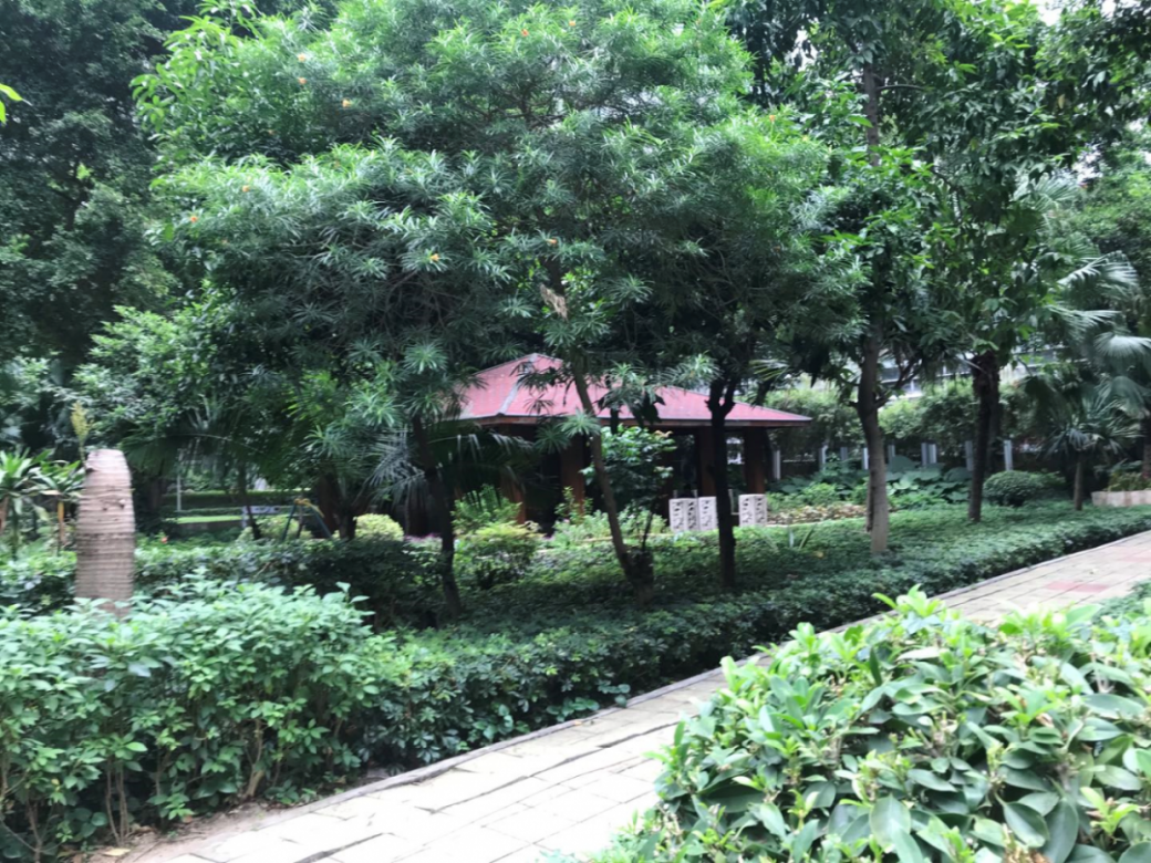 天河北的房子，*近涨价很猛！齐破10万/㎡！