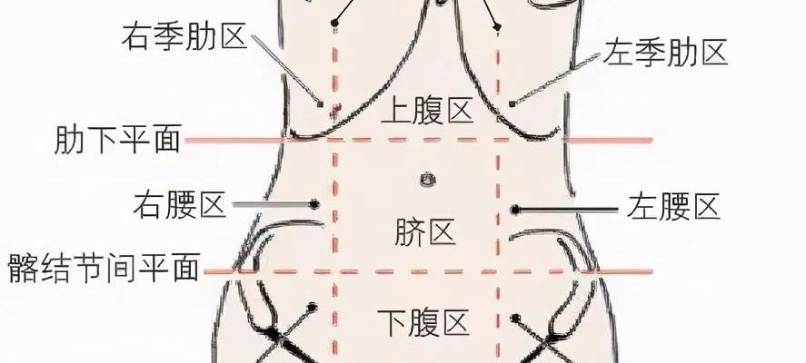 腹部疼痛位置图解：一张图教你快速对应器官，精准判断病因，让疾病无处隐藏。