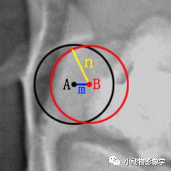 动物拍片腹部怎么摆如何为犬猫拍摄一张摆位完美的X线片_https://www.jmylbn.com_新闻资讯_第59张