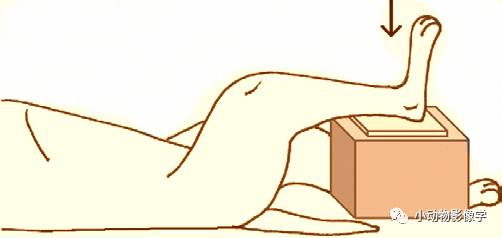 动物拍片腹部怎么摆如何为犬猫拍摄一张摆位完美的X线片_https://www.jmylbn.com_新闻资讯_第65张