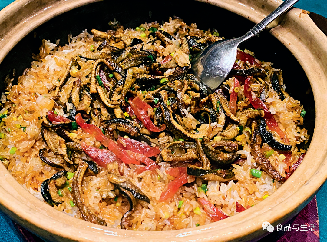 十八道顺德菜食鱼专家_龙趸鱼多少钱一斤_顺德食鱼生最出名什么店