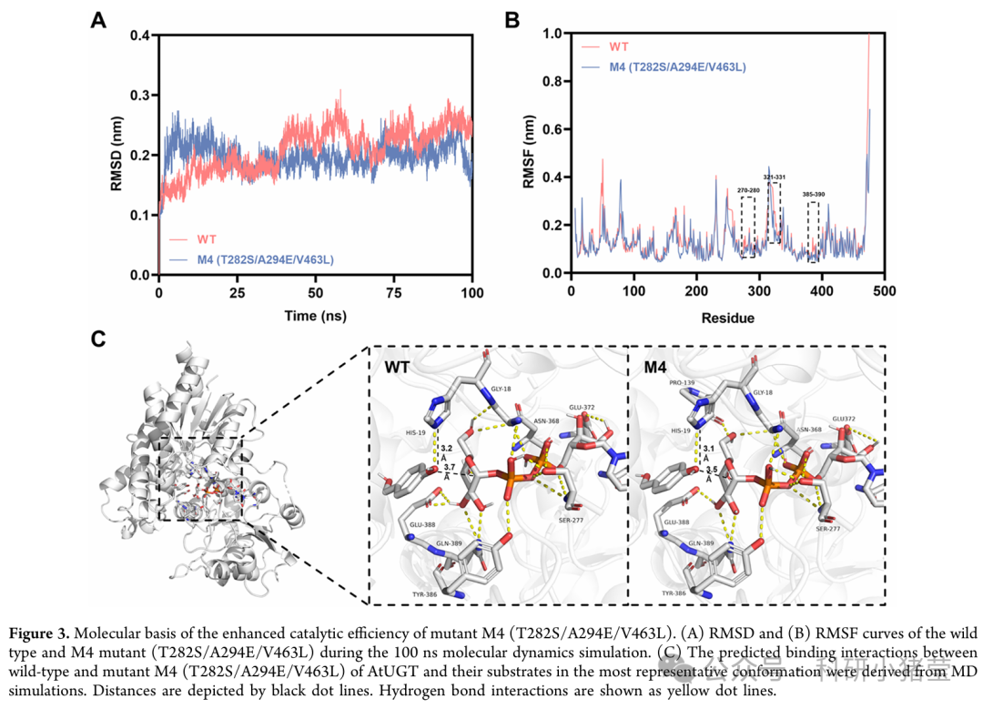 天麻素核心酶挖掘3