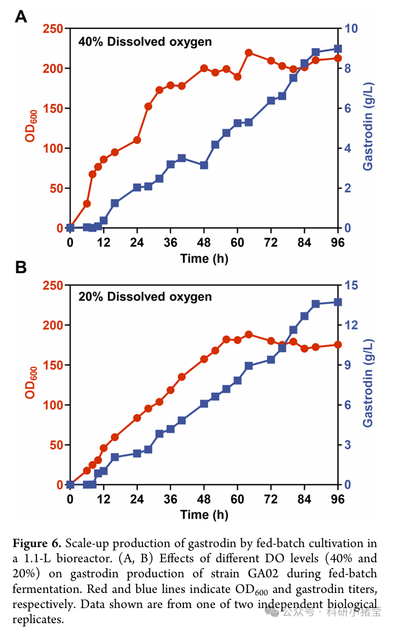 天麻素发酵曲线