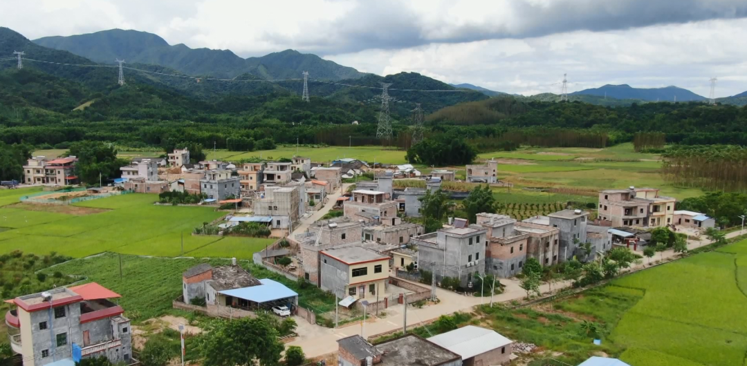 走向我们的小康生活决战决胜脱贫攻坚龙潭镇因地制宜发展特色产业助推