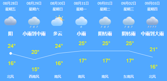 网上 养猫 还能赚钱 他们已经被骗得血本无归 新闻夜航 微信公众号文章阅读 Wemp