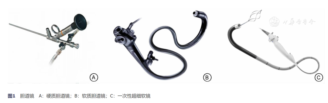 活检钳怎么用胆道内镜治疗肝胆管结石的应用指南(2024版)_https://www.jmylbn.com_新闻资讯_第3张