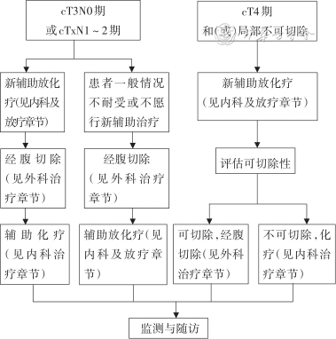 放疗体膜是什么中国结直肠癌诊疗规范（2023年版）_https://www.jmylbn.com_新闻资讯_第14张