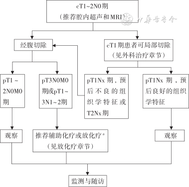 放疗体膜是什么中国结直肠癌诊疗规范（2023年版）_https://www.jmylbn.com_新闻资讯_第13张
