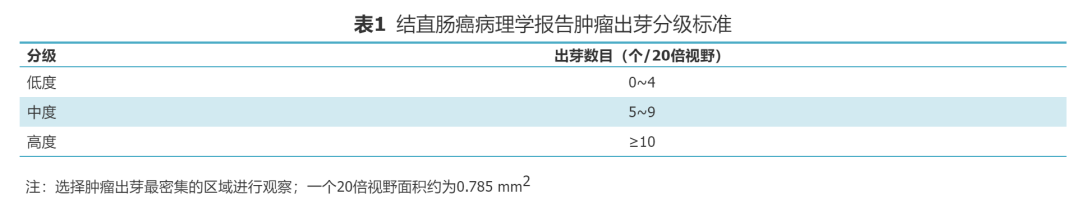 放疗体膜是什么中国结直肠癌诊疗规范（2023年版）_https://www.jmylbn.com_新闻资讯_第4张