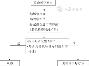 放疗体膜是什么中国结直肠癌诊疗规范（2023年版）_https://www.jmylbn.com_新闻资讯_第12张