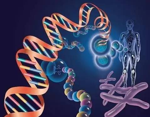 聪明的人经营健康，明白的人存储健康；普通的人不懂健康，糊涂的