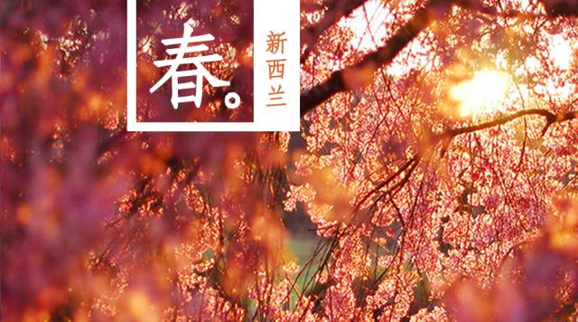 从难民家庭到哈佛,怀着二胎掌管全球最大慈善机构,这个华裔姑娘不仅嫁给了爱情,还...