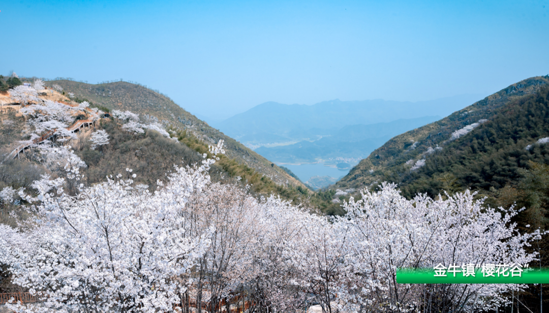 倒计时2天黄石来啦