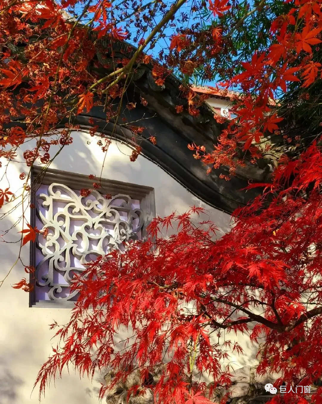 巨人门窗丨中国古典花窗艺术