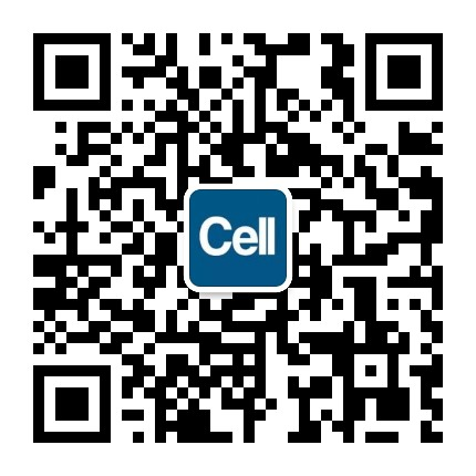 bm细胞是什么细胞Nature communications：骨髓脂肪组织是独特的脂肪亚型，在葡萄糖稳态中具有独特的作用_https://www.jmylbn.com_新闻资讯_第13张