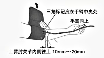 高血压用什么血压计家庭自用血压计，选择哪种好？医生指出这几点..._https://www.jmylbn.com_新闻资讯_第8张