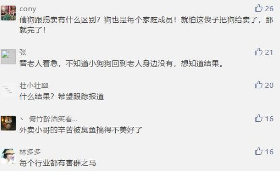 瀋陽籍女演員怒斥美團外賣小哥偷狗！偷狗人終於找到了，真相竟然是...... 萌寵 第5張