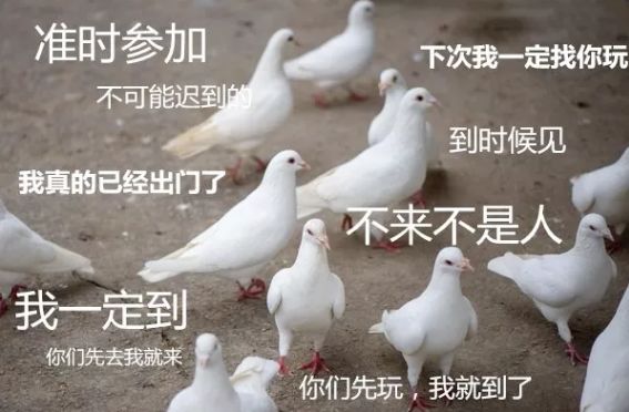 深度剖析人类四大本质,速来围观解决方案_天津市中盈汇达汽车优惠促销