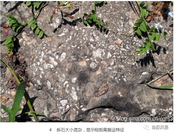 砂岩鉴定中的盆屑指的是什么 勘探风暴 微信公众号文章阅读 Wemp