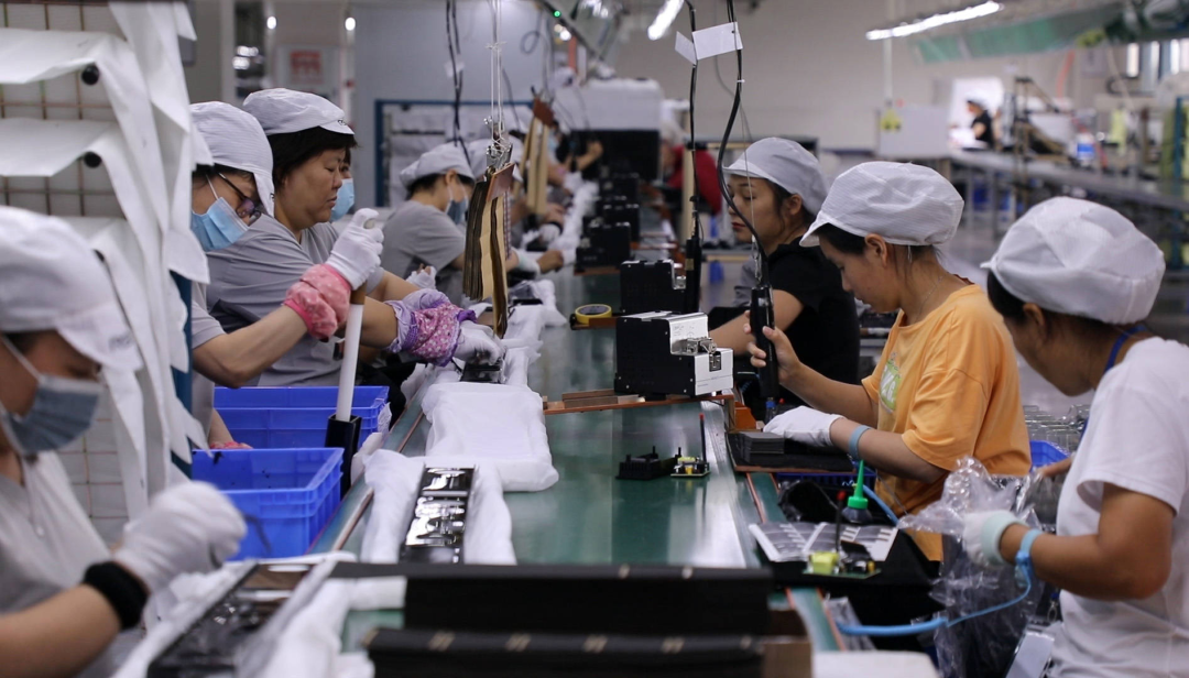 张庭为什么不能生育_北京二胎能享受生育险吗_生育期间可以离婚吗