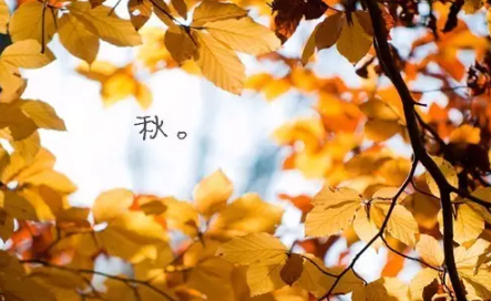 金秋排毒除百病！积累了大半年的“毒”，该排一排了