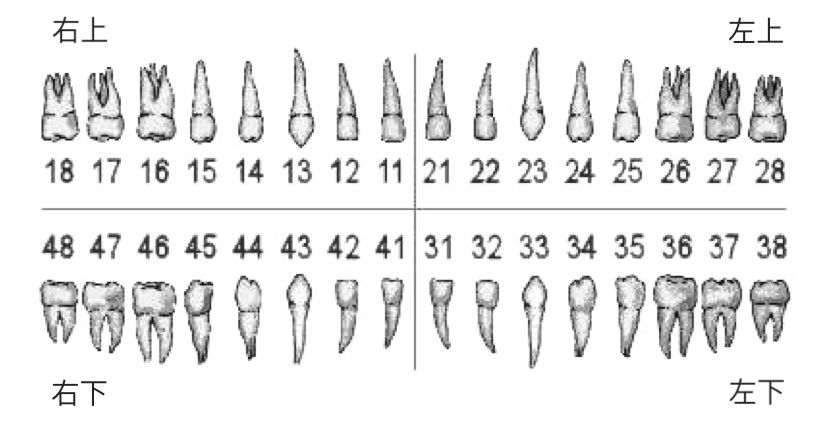 3位突嘴星人的逆袭故事 - 贝致——专业口腔服务平台,让你变美的牙套