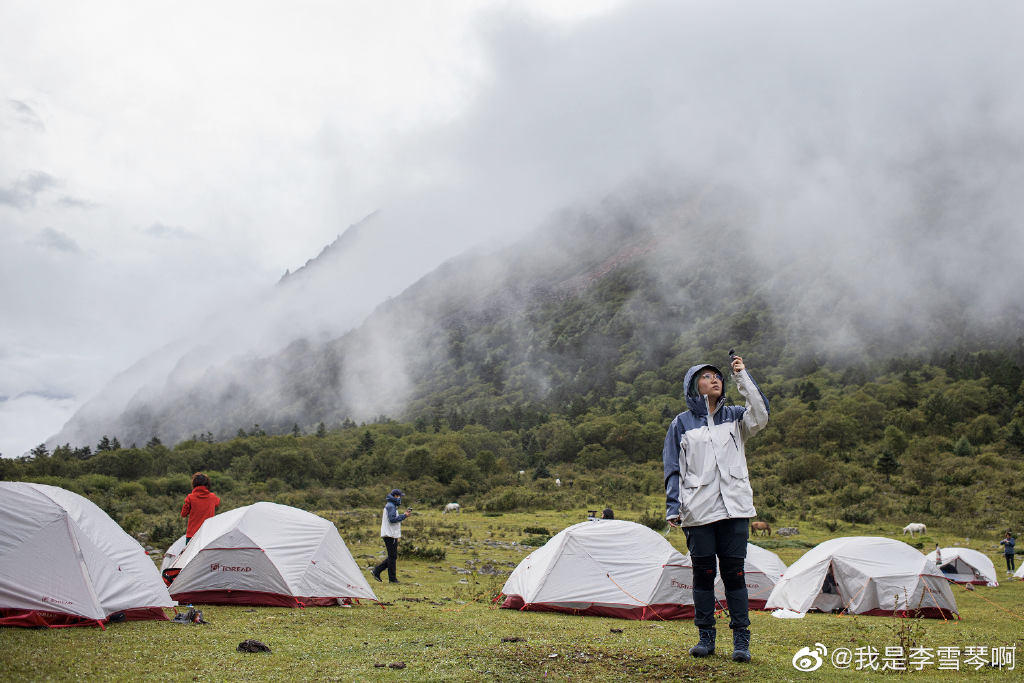 琴赤琴 夏_李雪琴_夹板琴和单板琴