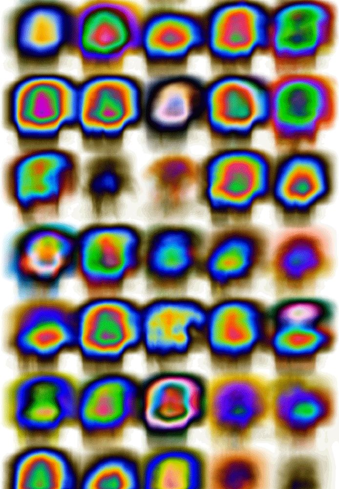 Operation Purple. - This Sunday, the wormhole is open. Body