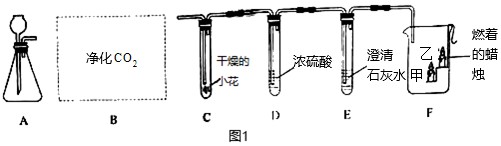 碳和浓硫酸反应方程式_碳和硫酸反应方程式_蔗糖和硫酸反应方程式