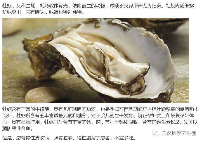 神了权l健牡蛎发现一个新功效