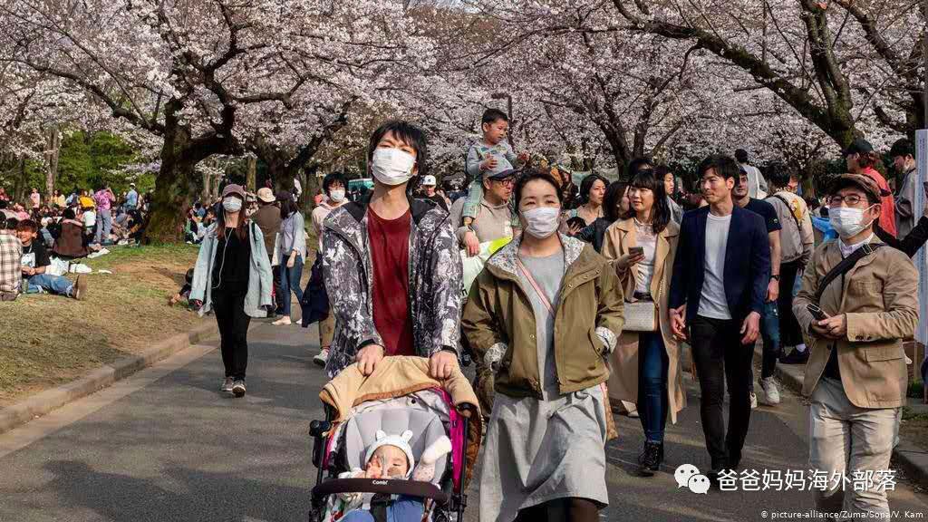 海外部落 文学城博客